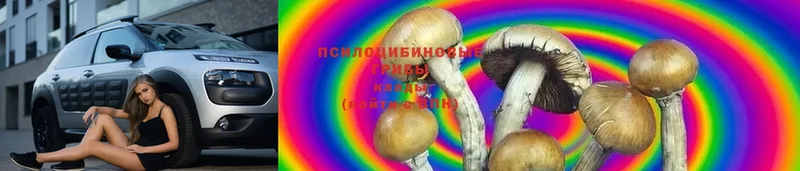 Псилоцибиновые грибы MAGIC MUSHROOMS  кракен tor  shop клад  Поронайск 